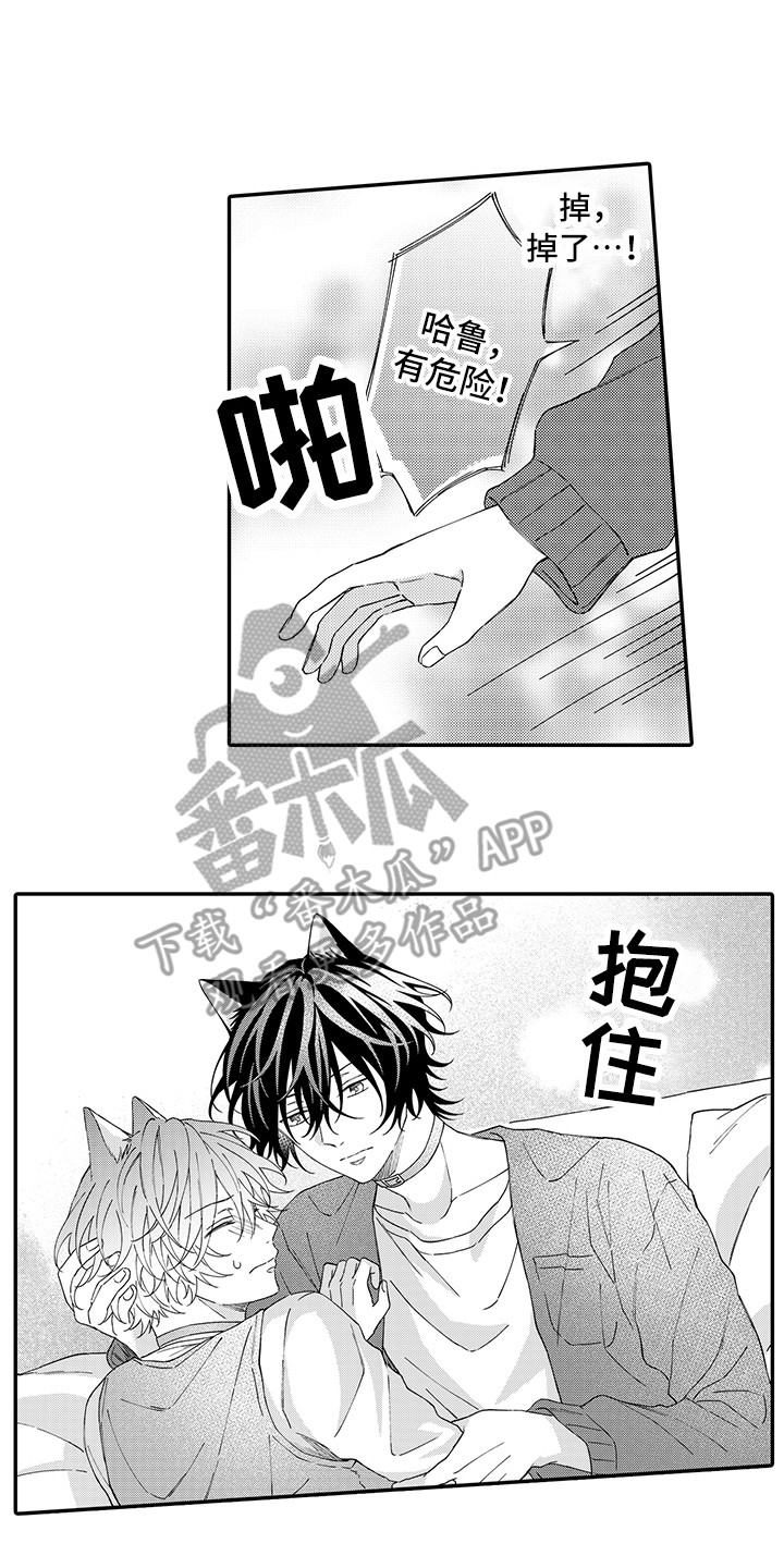 猫咪之家漫画,第10章：表白1图