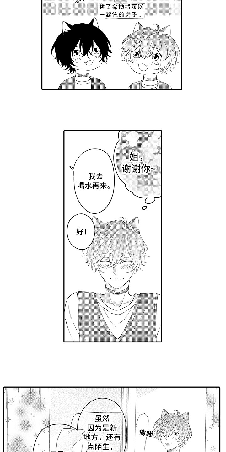 猫咪之家漫画,第22章：新家1图