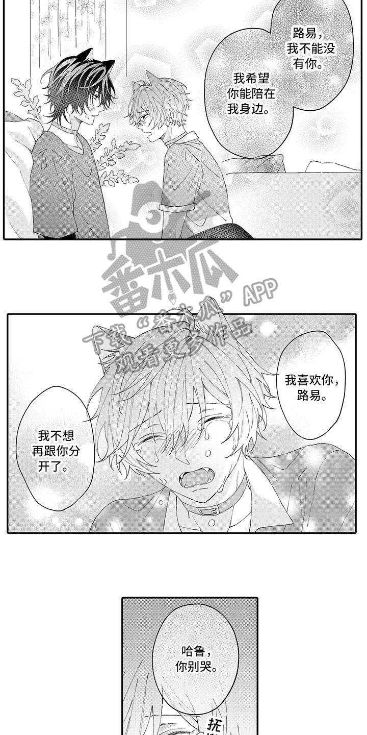 猫咪之家漫画,第20章：求救3图