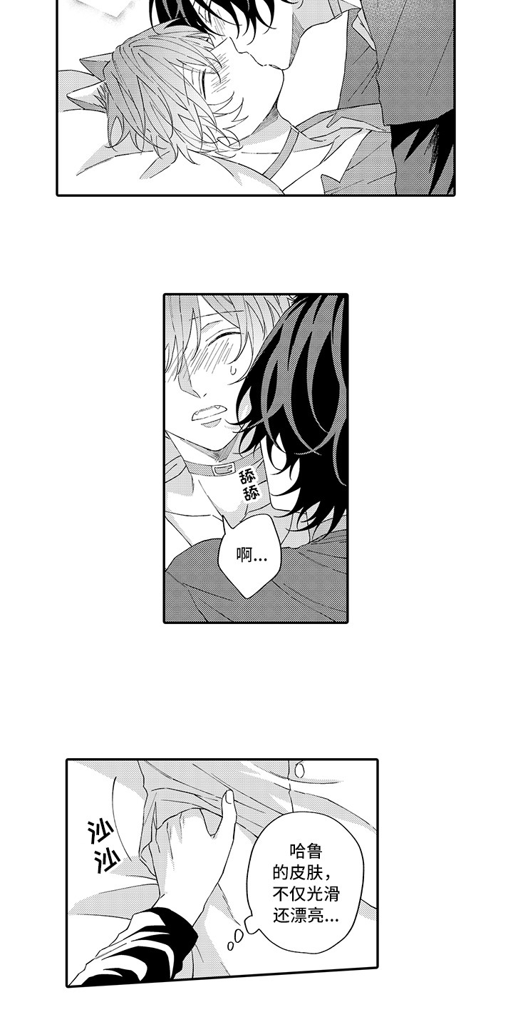 猫咪之家漫画,第14章：睡着了1图