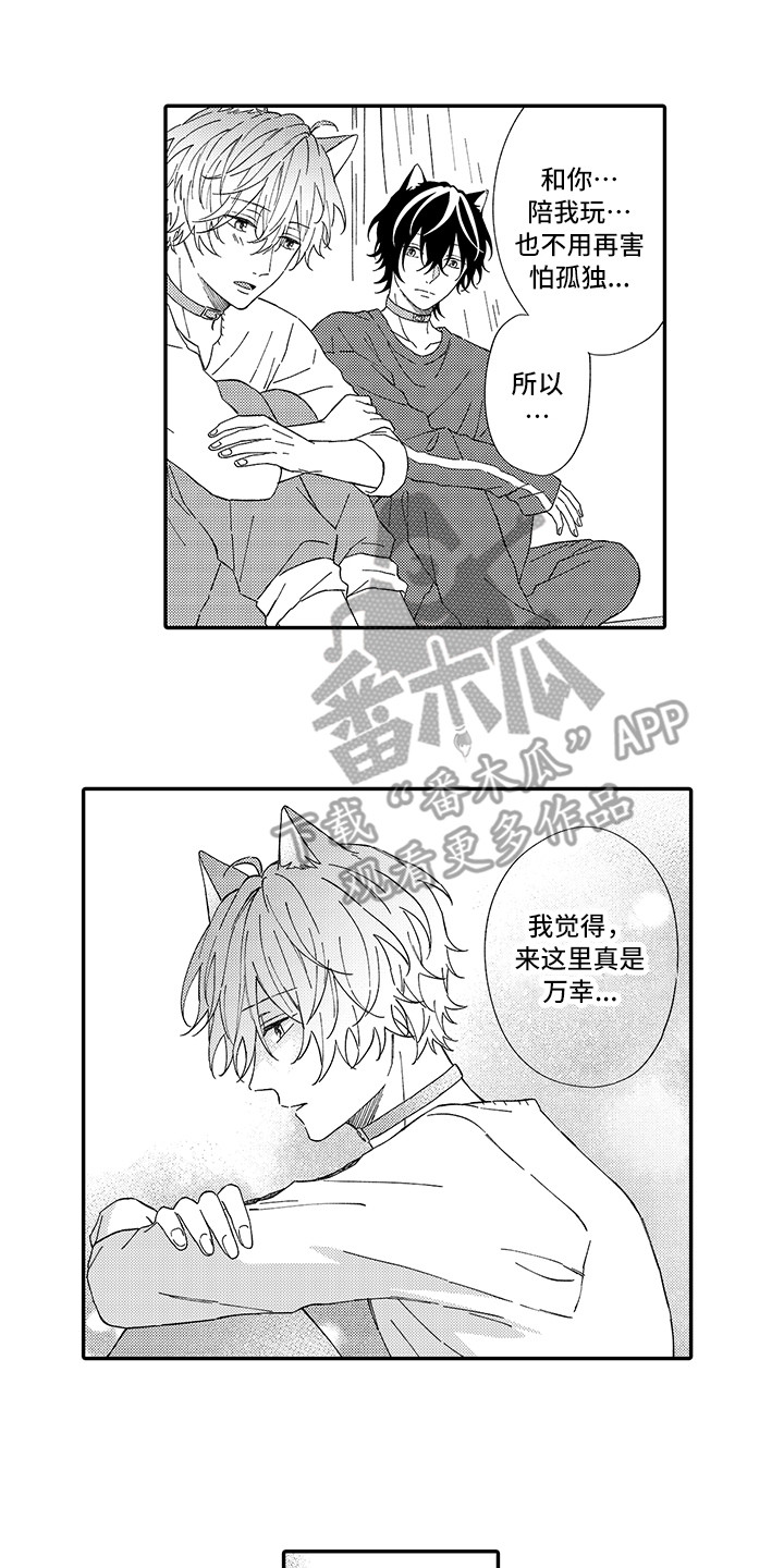 猫咪之家漫画,第5章：倾诉1图