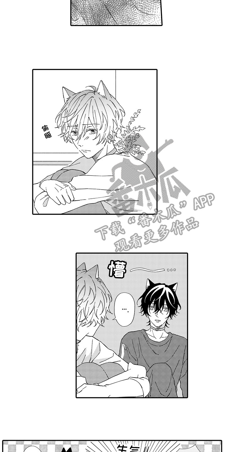 猫咪之家漫画,第6章：笑容5图