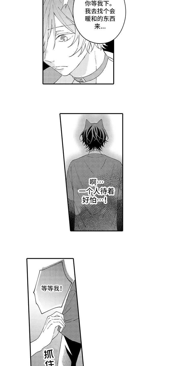 猫咪之家漫画,第16章：私奔2图