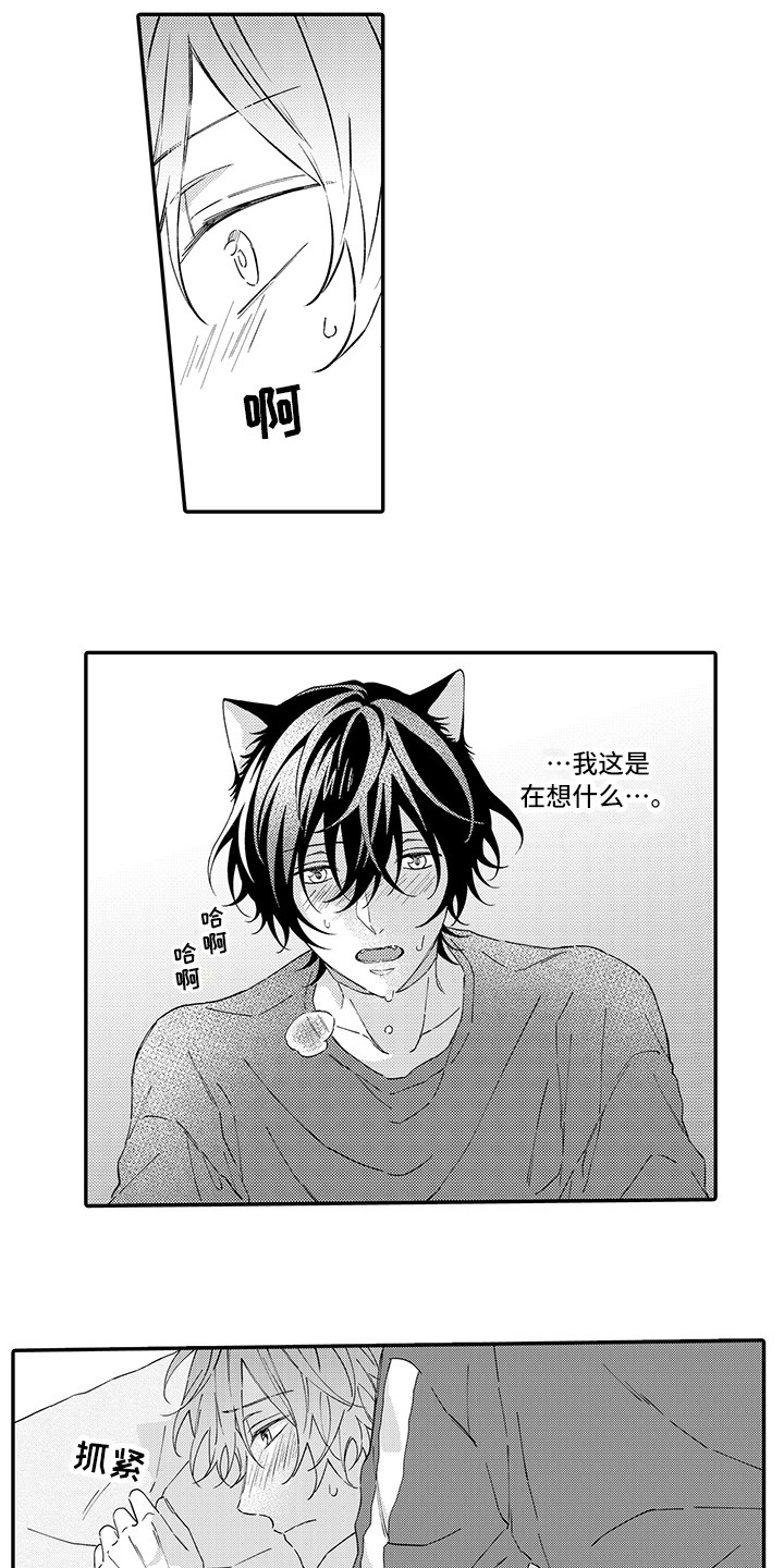 猫咪之家漫画,第8章：不再讨厌1图