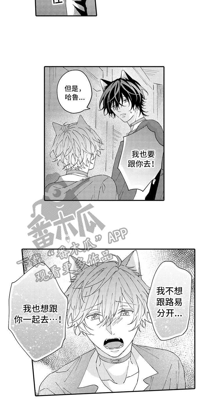 猫咪之家漫画,第16章：私奔3图