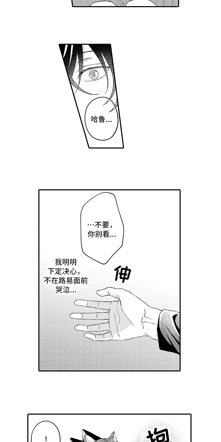 猫咪之家漫画,第16章：私奔4图