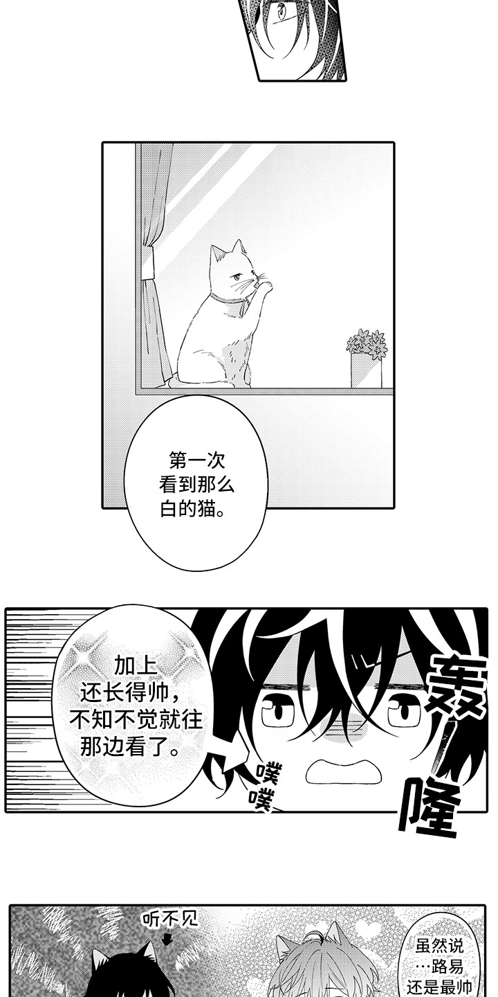 猫咪之家漫画,第22章：新家2图
