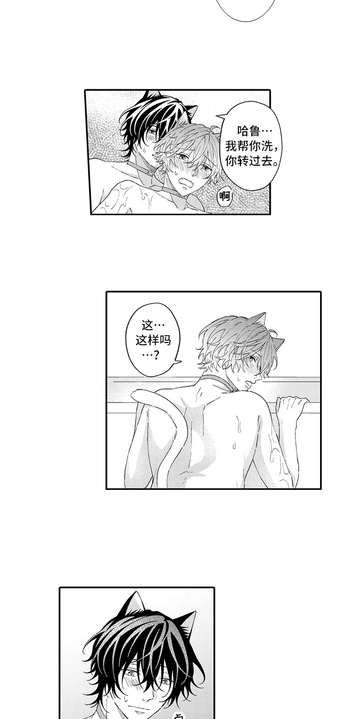 猫咪之家漫画,第13章：洗一洗5图