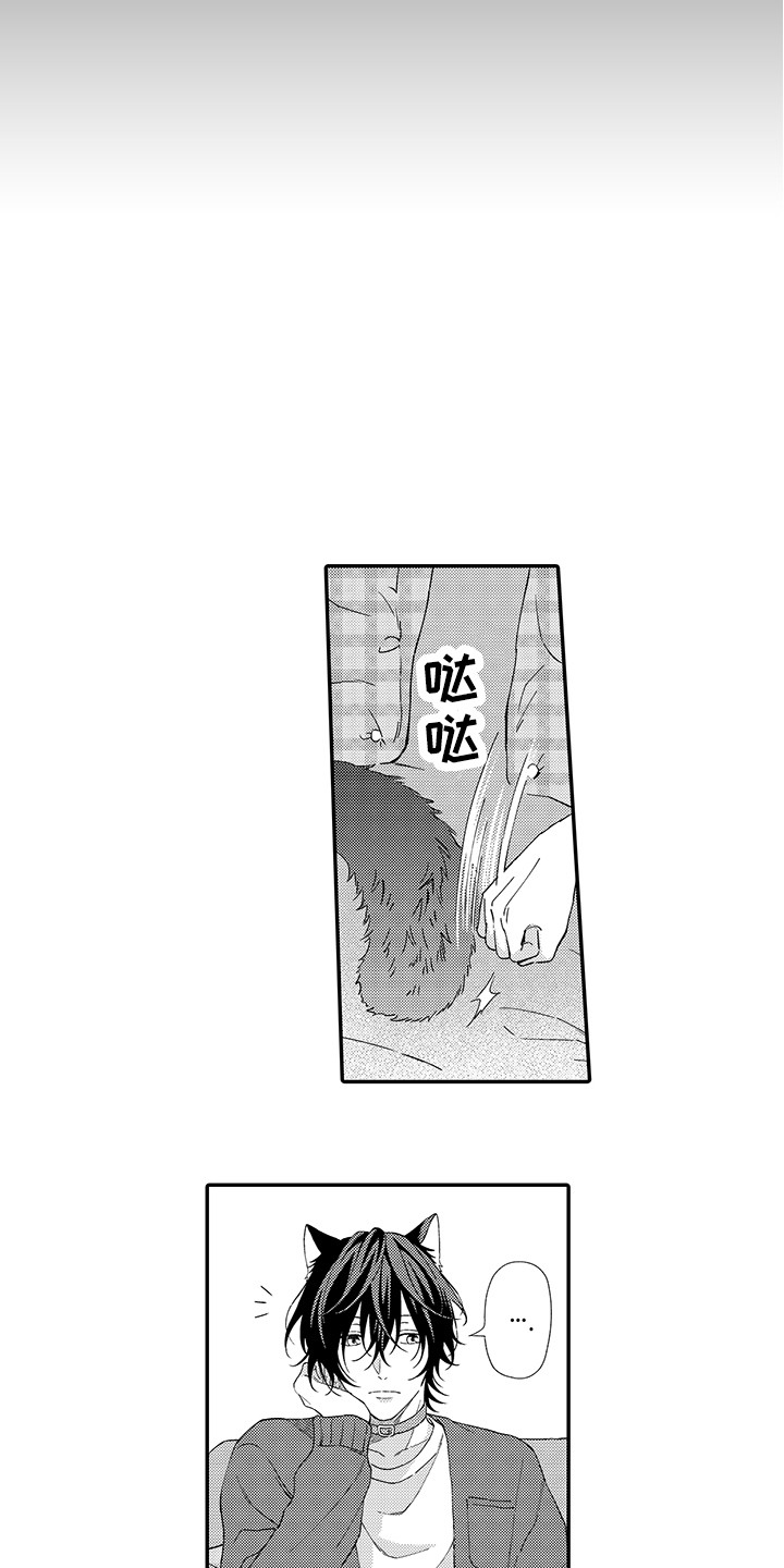 猫咪之家漫画,第2章：好胜心2图