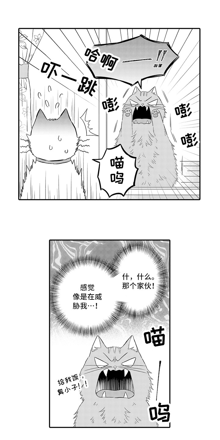 猫咪之家漫画,第8章：不再讨厌5图