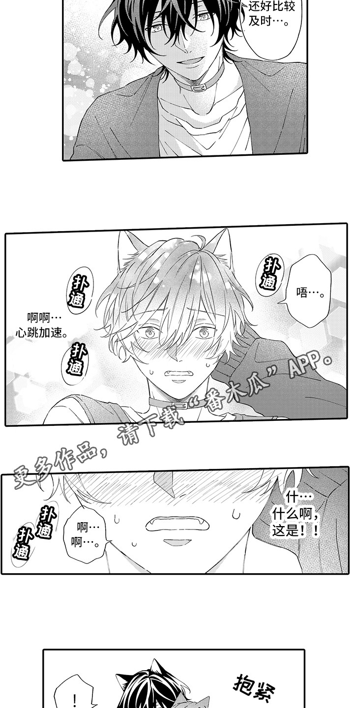 猫咪之家漫画,第10章：表白3图