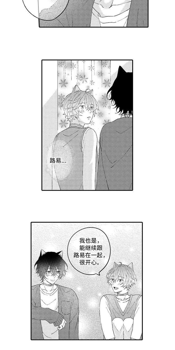 猫咪之家漫画,第22章：新家4图