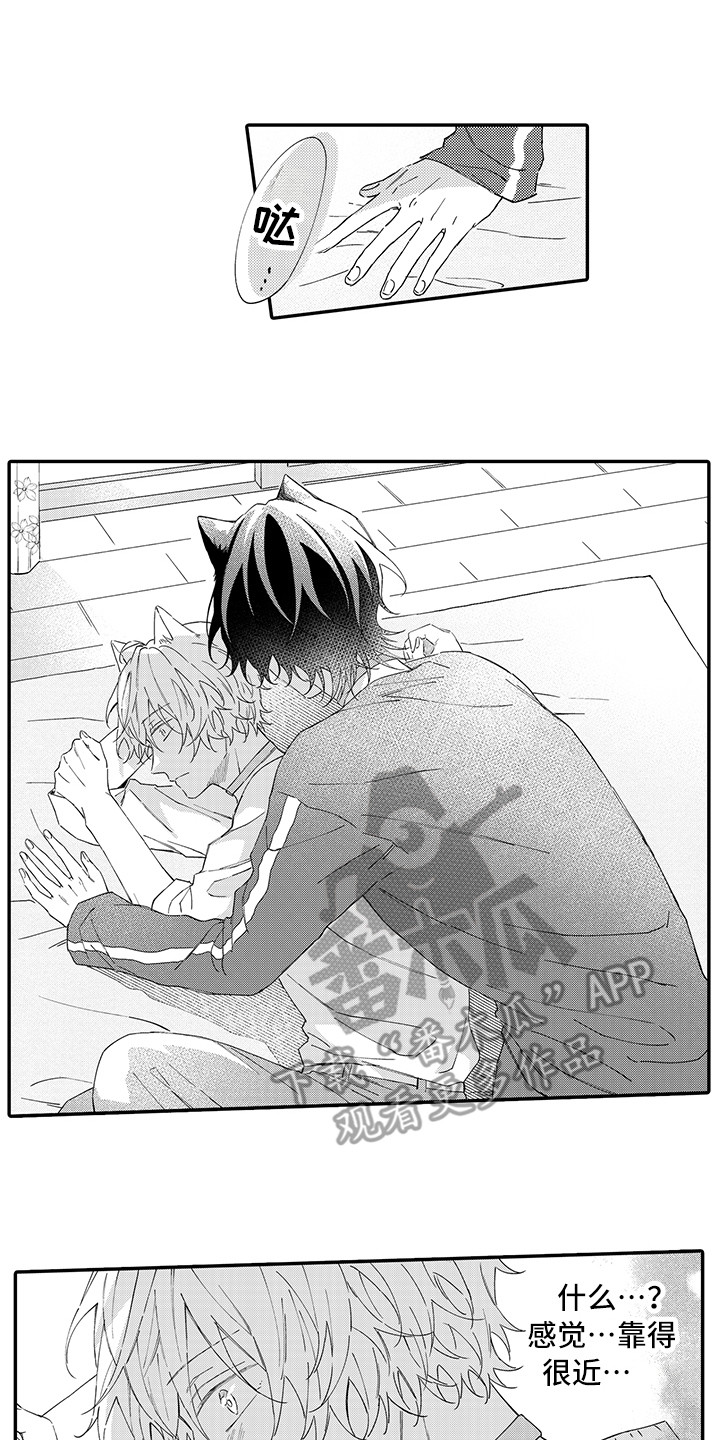猫咪之家漫画,第6章：笑容3图