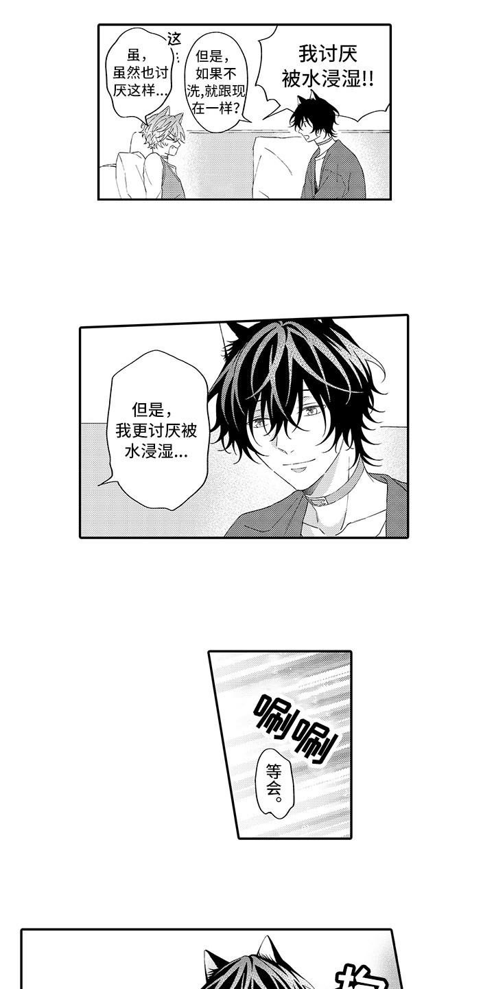 猫咪之家漫画,第12章：怕水1图