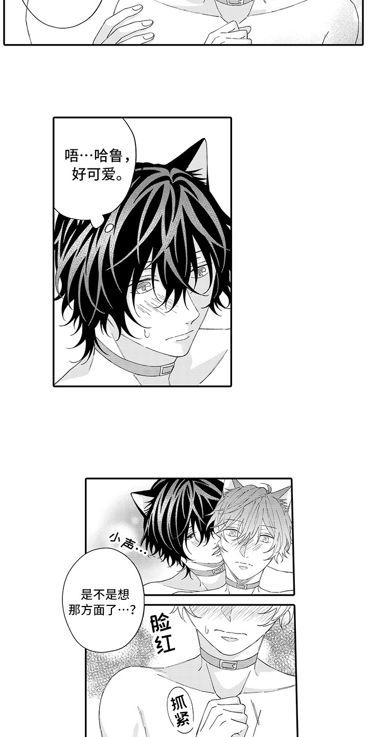 猫咪之家漫画,第13章：洗一洗3图
