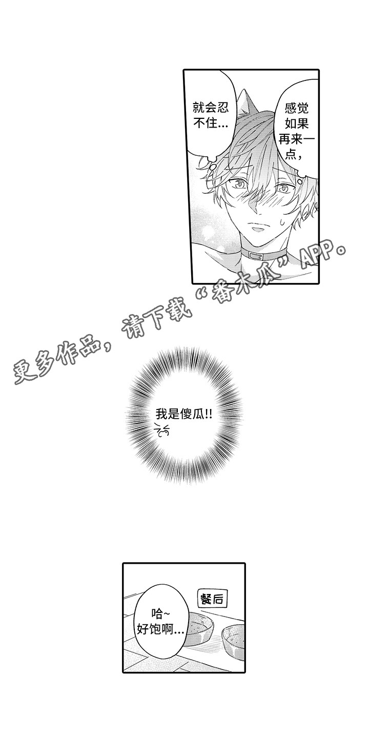 猫咪之家漫画,第14章：睡着了3图