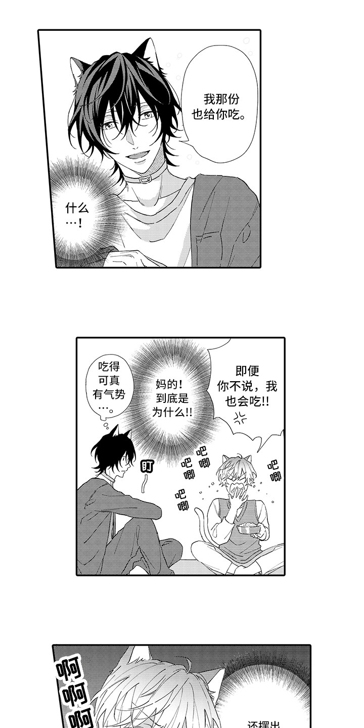 猫咪之家漫画,第1章：两只小猫5图