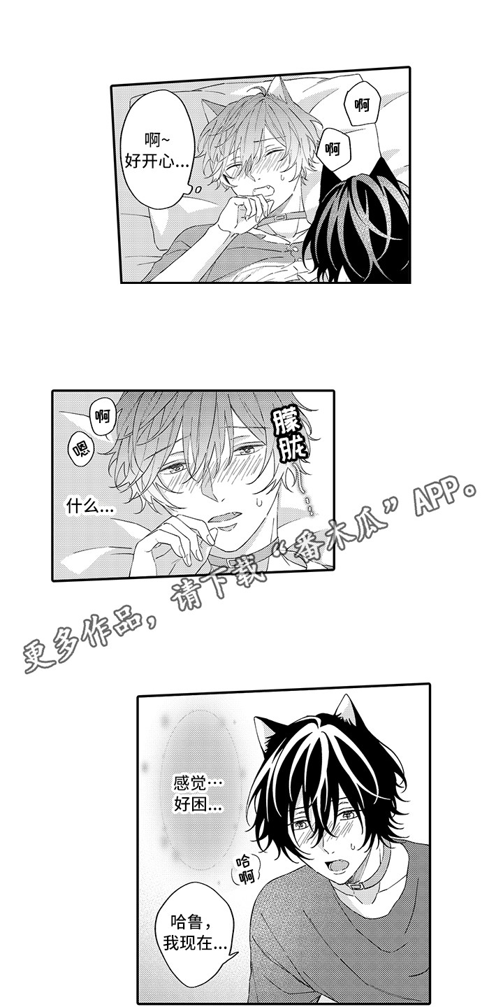 猫咪之家漫画,第14章：睡着了2图