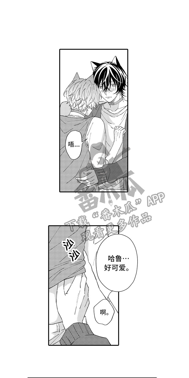 猫咪之家漫画,第11章：很开心1图