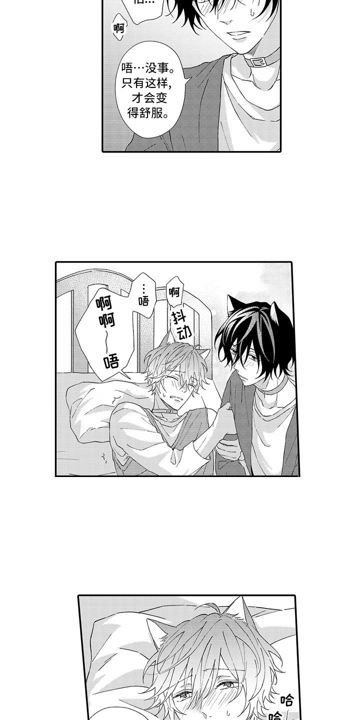 猫咪之家漫画,第4章：照顾3图