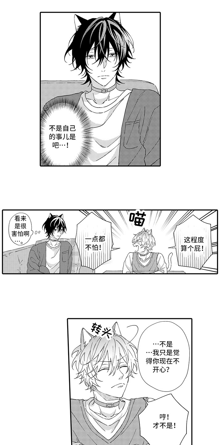 猫咪之家漫画,第2章：好胜心2图