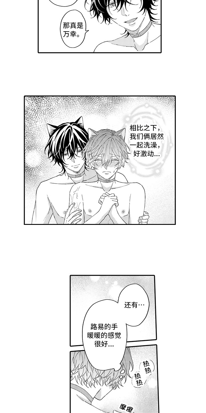 猫咪之家漫画,第13章：洗一洗1图