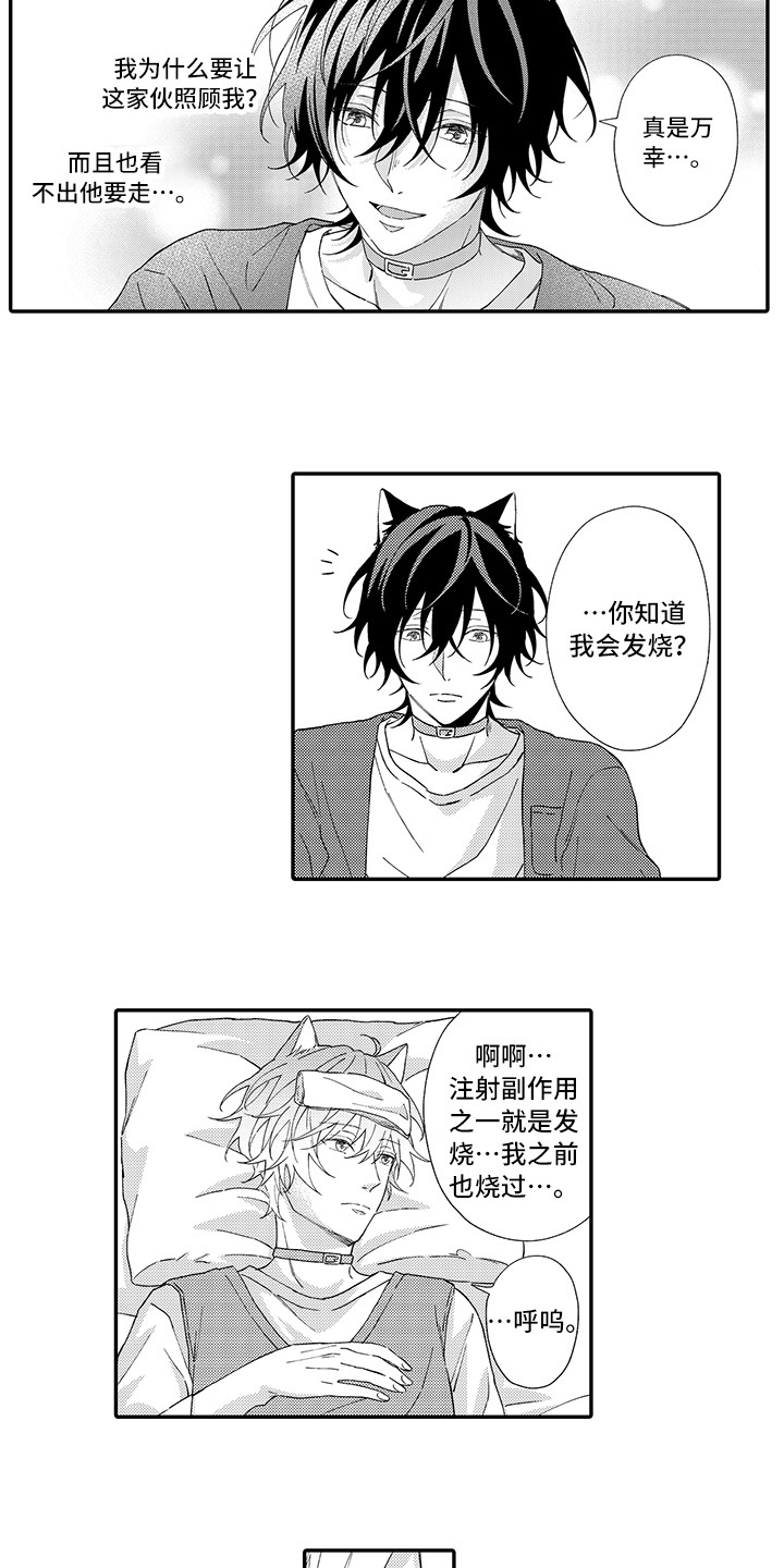 猫咪之家漫画,第3章：发烧1图