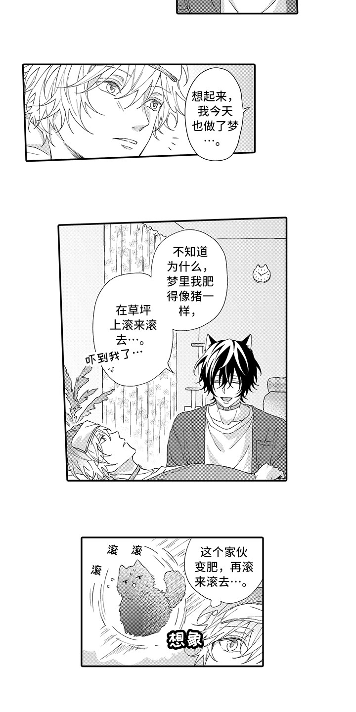 猫咪之家漫画,第3章：发烧3图