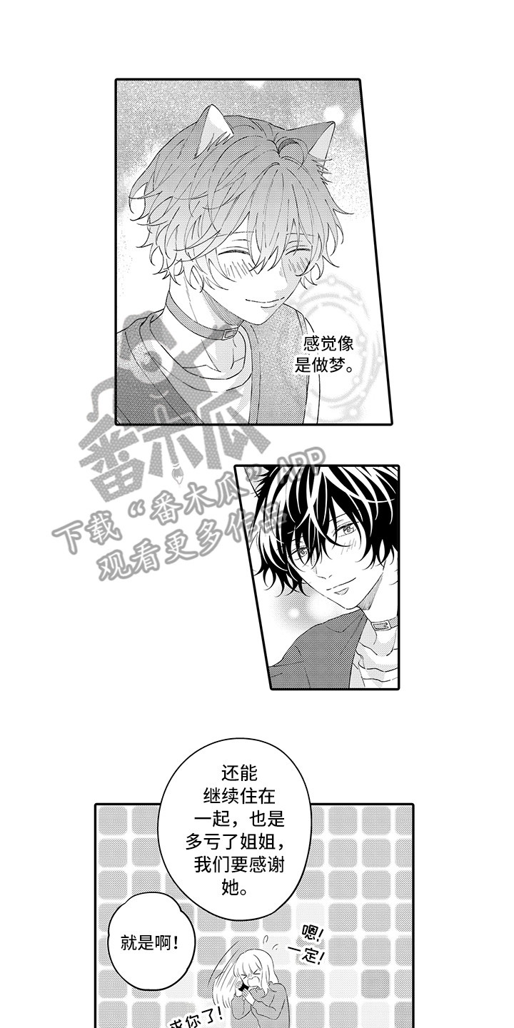 猫咪之家漫画,第22章：新家5图