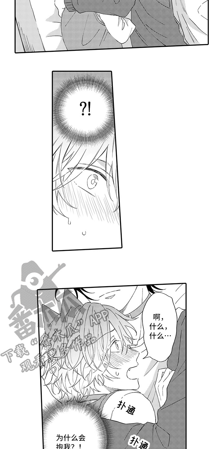 猫咪之家漫画,第9章：心跳加快4图