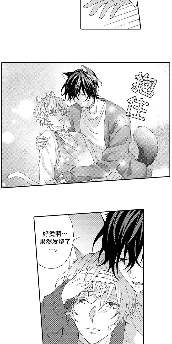 猫咪之家漫画,第3章：发烧3图