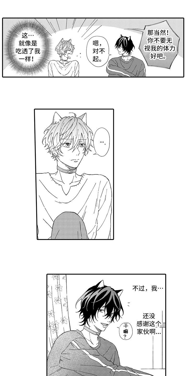 猫咪之家漫画,第5章：倾诉4图