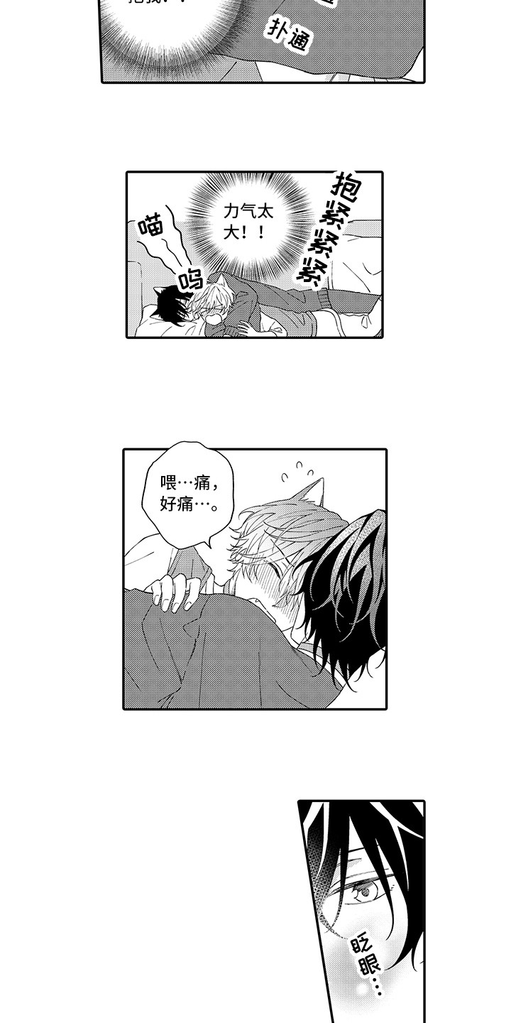 猫咪之家漫画,第9章：心跳加快5图