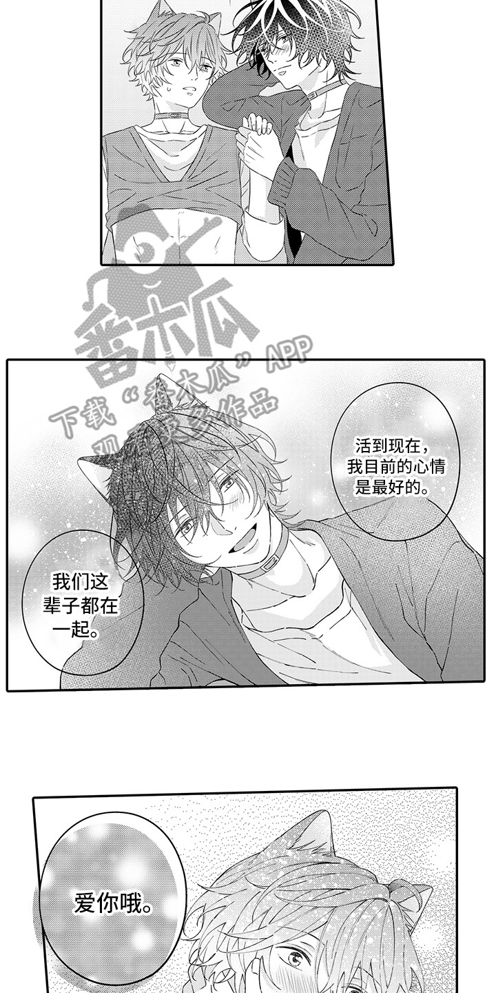 猫咪之家漫画,第24章：在一起（完结）4图