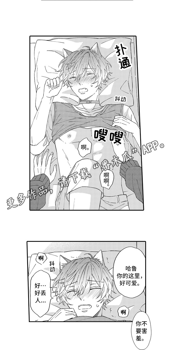猫咪之家漫画,第11章：很开心3图
