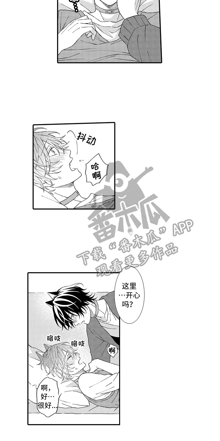 猫咪之家漫画,第11章：很开心5图