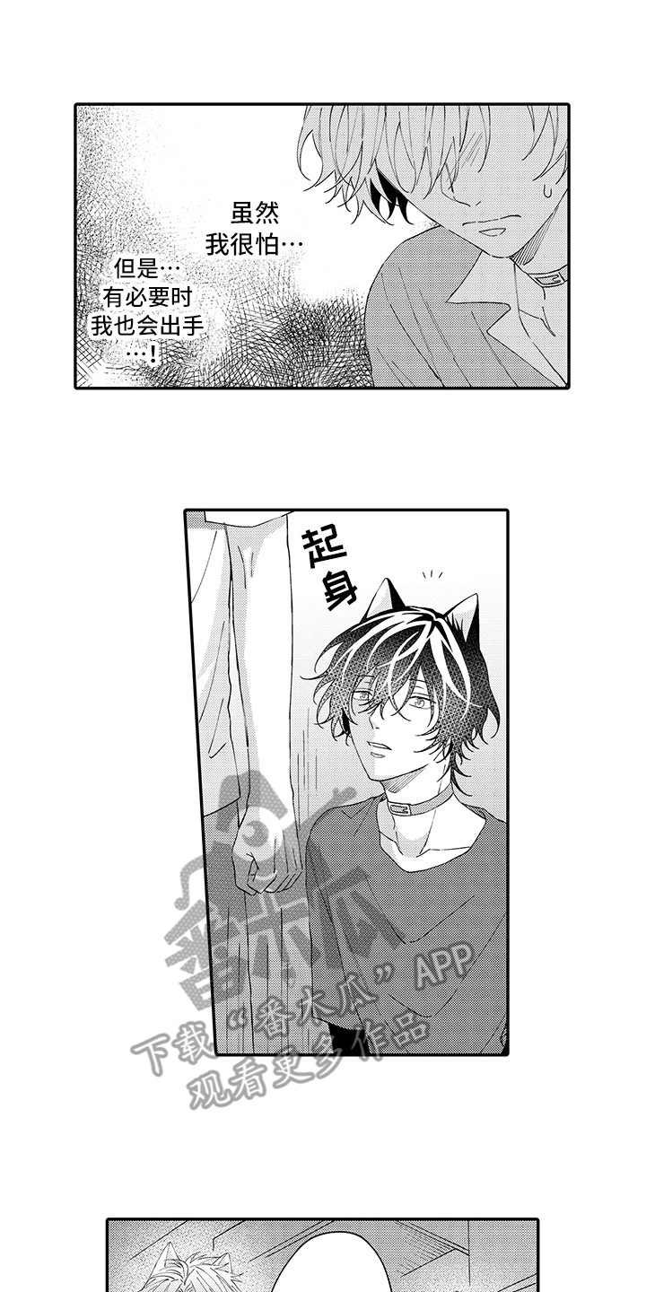 猫咪之家漫画,第17章：保护5图