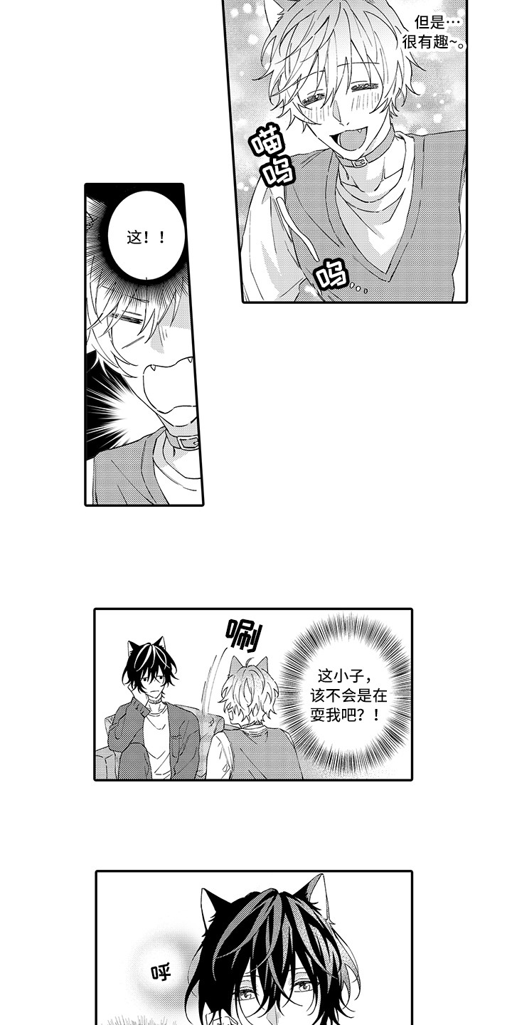 猫咪之家漫画,第2章：好胜心5图