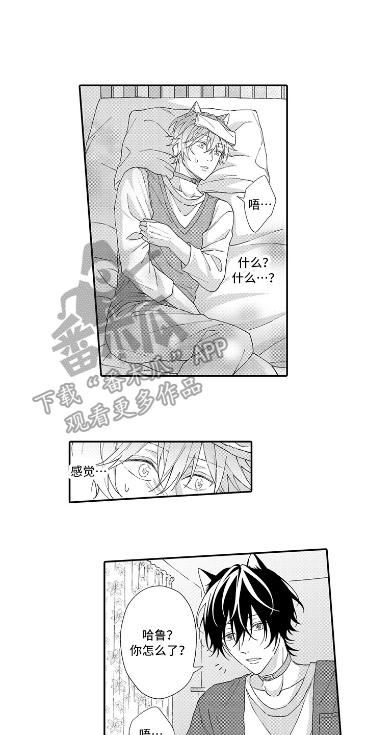 猫咪之家漫画,第4章：照顾1图