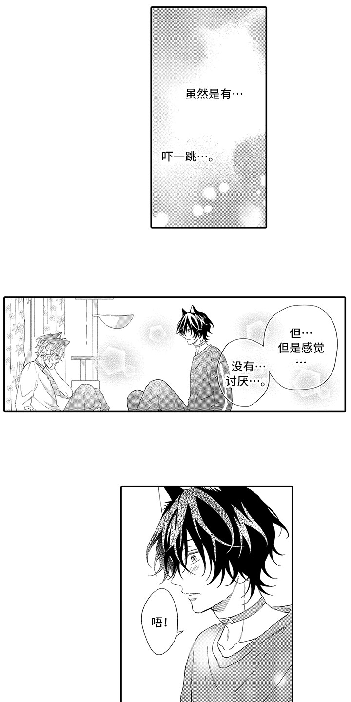 猫咪之家漫画,第7章：没法抵抗4图