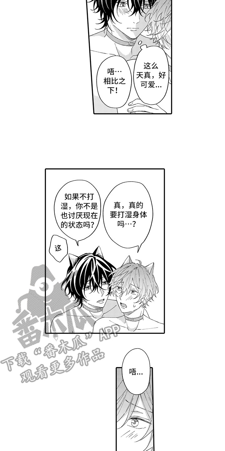 猫咪之家漫画,第12章：怕水1图