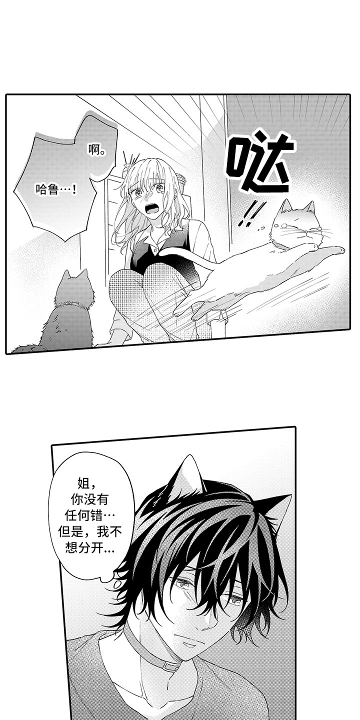 猫咪之家漫画,第15章：坏消息5图