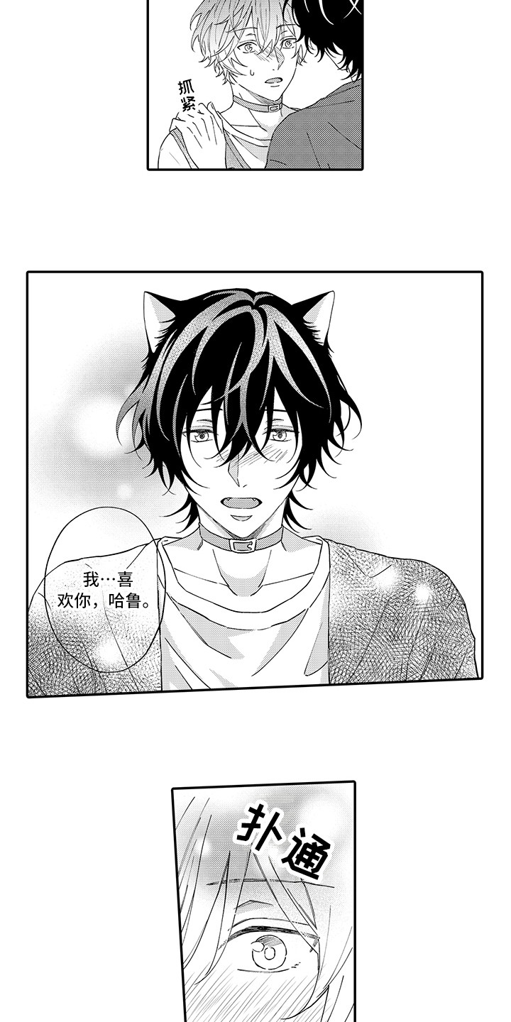 猫咪之家漫画,第10章：表白1图
