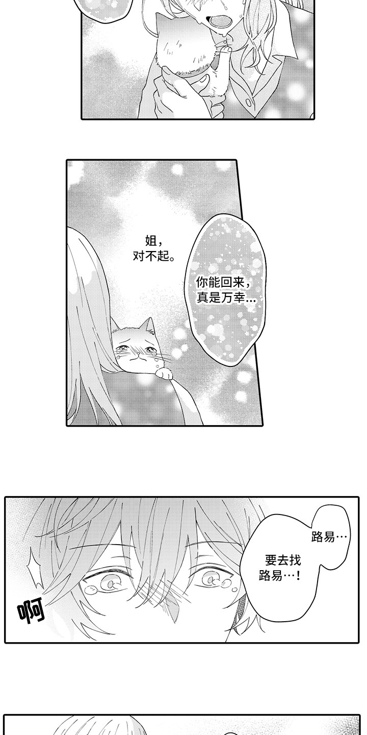 猫咪之家漫画,第20章：求救2图