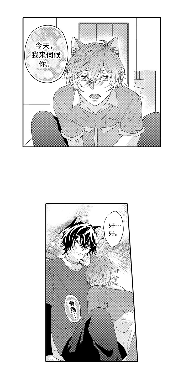 猫咪之家漫画,第21章：下决心4图