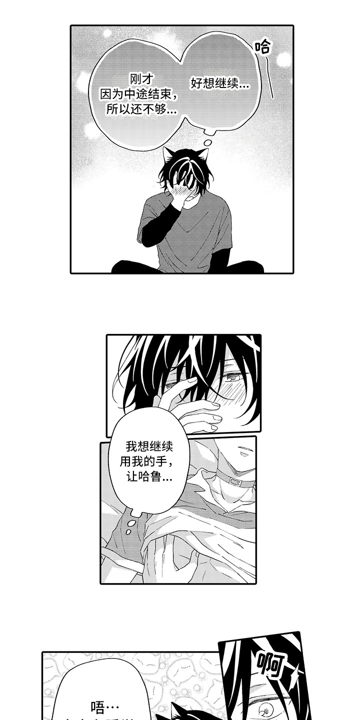 猫咪之家漫画,第14章：睡着了5图