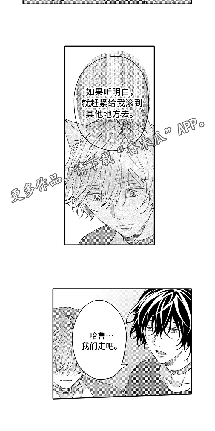 猫咪之家漫画,第17章：保护3图