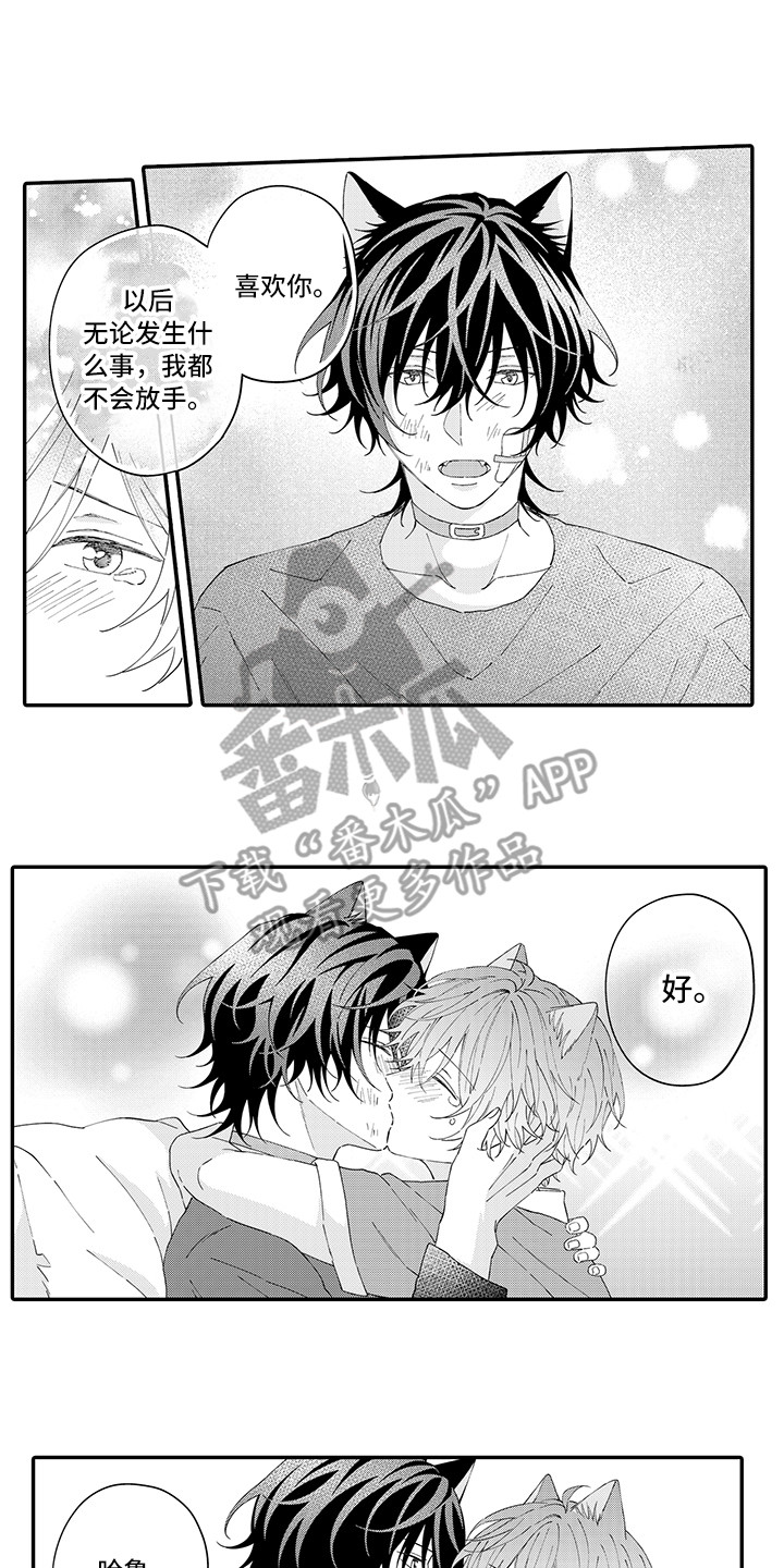 猫咪之家漫画,第21章：下决心1图