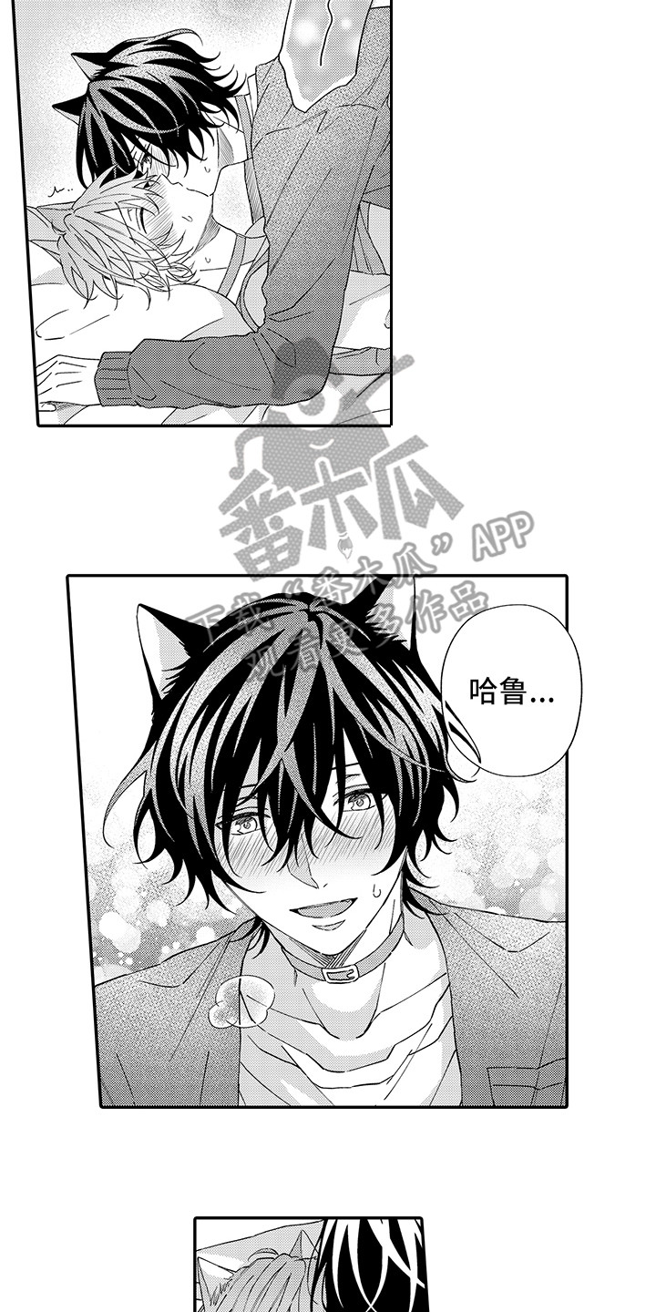 猫咪之家漫画,第11章：很开心3图