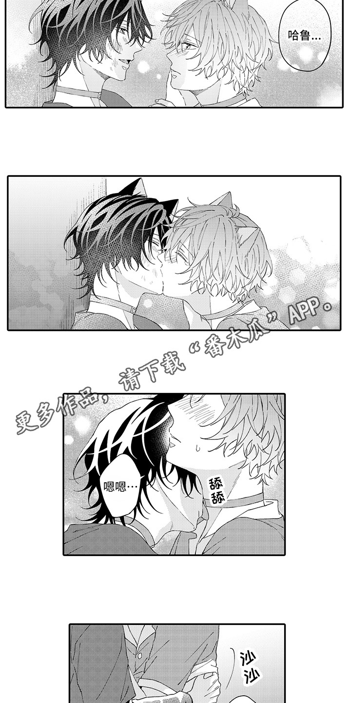 猫咪之家漫画,第18章：受伤了2图